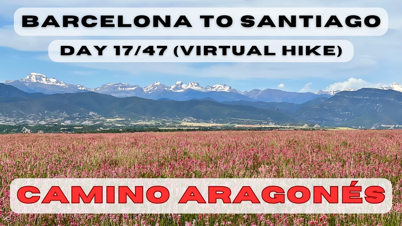 Day 17: Barcelona to Santiago - Santa Cilia to Artieda (Camino Catalan, Aragones, Frances)