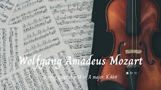 Celebrity String Quartet n.18 in A major, K.464 - Wolfgang Amadeus Mozart 🎵 Profile