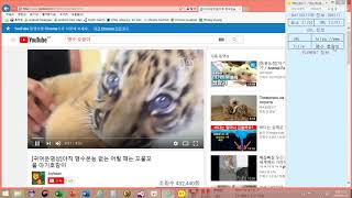 유튜브 동영상 자동 검색 & 재생 screenshot 3
