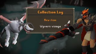 Wyvern Visage - Maxed HCIM Collection Log #16