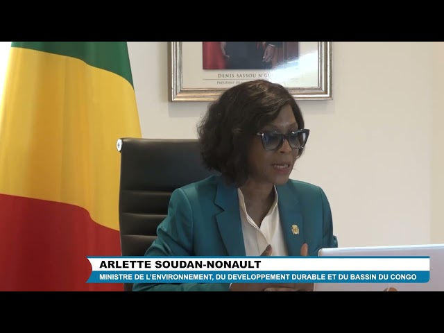 La Ministre Soudan Nonault a participé au forum régional africain pour le développement durable