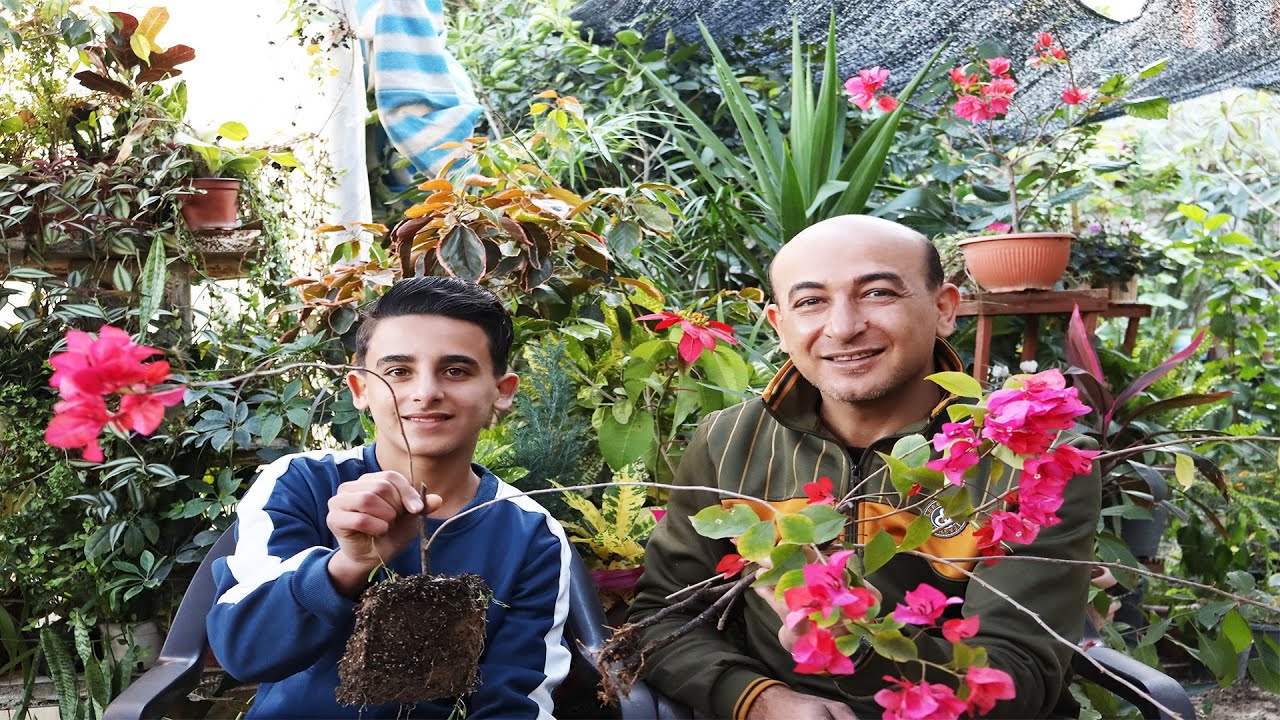 مدمن تعقيل و تشكيل و زراعة و تقليم الجهنمية