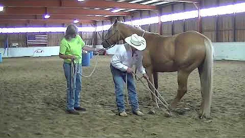 Horse Training - Gerry Cox - Bad to Kick