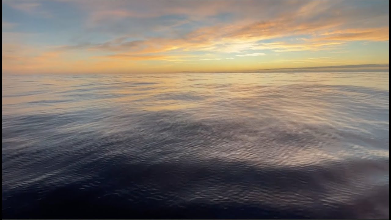 Onboard Video #8 - Route du Rhum