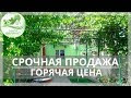 Срочная продажа! Низкая цена! Купить дом в Анапе у моря недорого с баней и бассейном. Хутор Красный