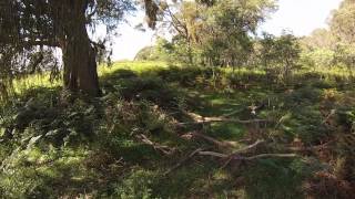 Gopro Fox Hunting Australia