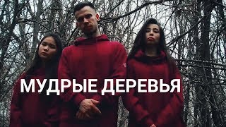 MONATIK - Мудрые деревья (dance video)