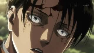 Levi Amv