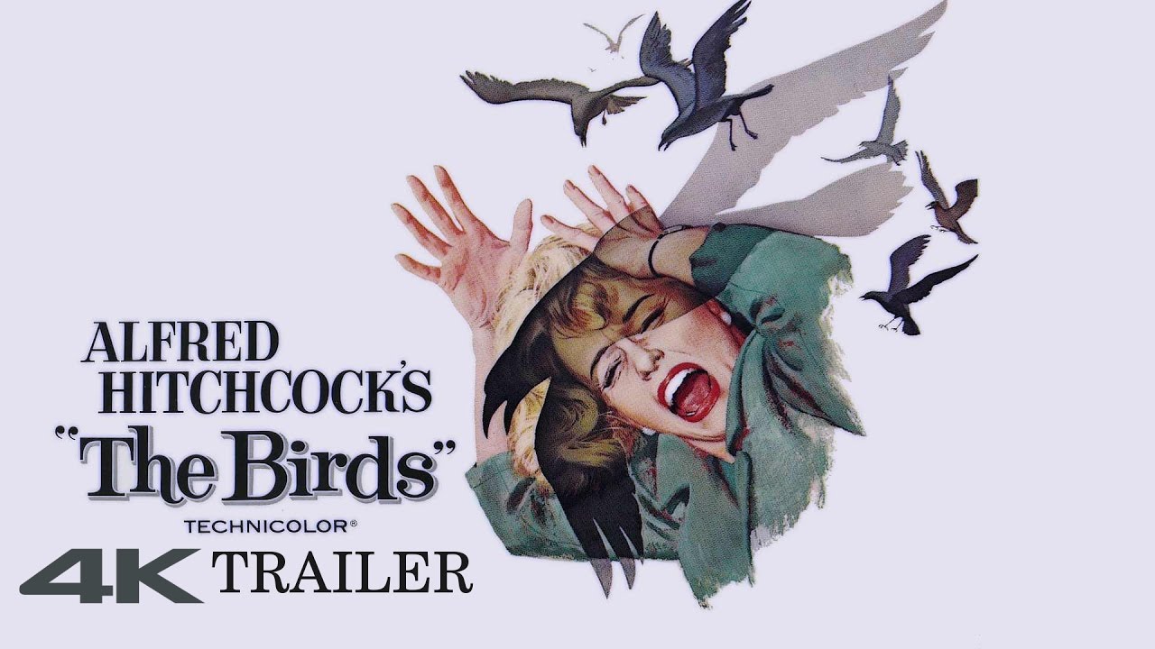 THE BIRDS : REMASTERED - Not Official Trailer #1 (HD 4K)