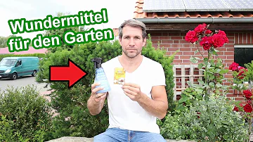 Wie setzt man Natron im Garten ein?