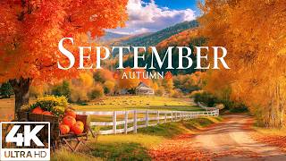 Peaceful September Escape 🍂 Colorful Forest Scenery with Nature Sounds & Soft Piano Music screenshot 1