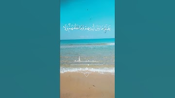 #آية_الكرسي #سورة_البقرة #قران_كريم #اكسبلور #لايك