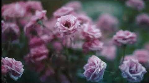 هزاع البلوشي||سورة الناس⚡💙 أجمل حالات واتس اب دينية مقاطع دينية قصيرة مقاطع انستقرام دينية