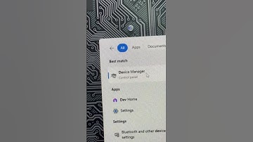 Alt and Windows Key swapped? Here
