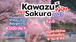 เที่ยวญี่ปุ่น Kawazu Sakura พิกัดชมซากุระสวยใกล้โตเกียว ซากุระสีชมพูสวยสดใส | เที่ยวแล้วเที่ยวอีก