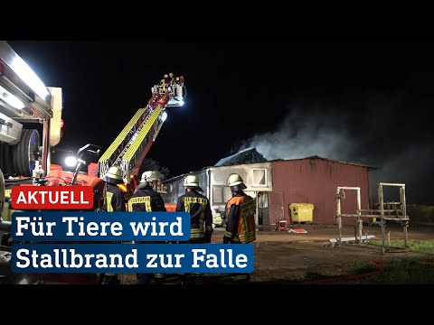 Video: Er waechtersbach-retter mikroovnsikre?