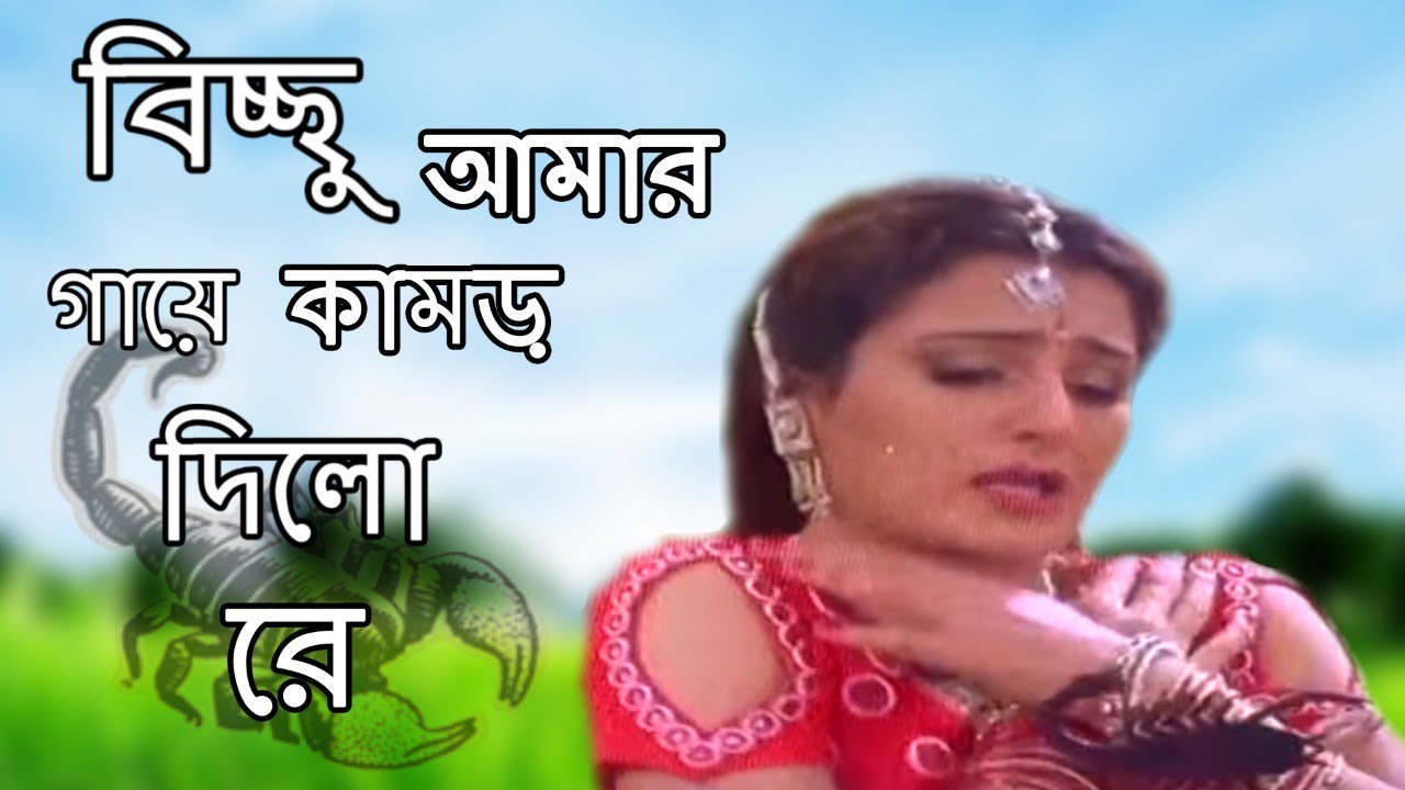 Bichhu Amar Gaye Kamor Dilo Re | বিচ্ছু আমার গায়ে কামড় দিলো রে | Jabab Dihi | Bangla Film Song