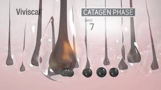 Viviscal PRO  Hair Growth Cycle | HairLossClinic.ca