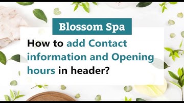 How to Configure Header Information Settings | Blossom Spa WordPress Theme