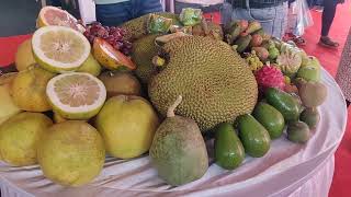 Fruits and vegetables exhibition at IIHR Bangalore