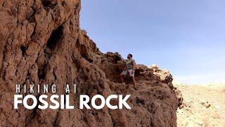 FOSSIL ROCK SHARJAH - 40 minutes from Dubai