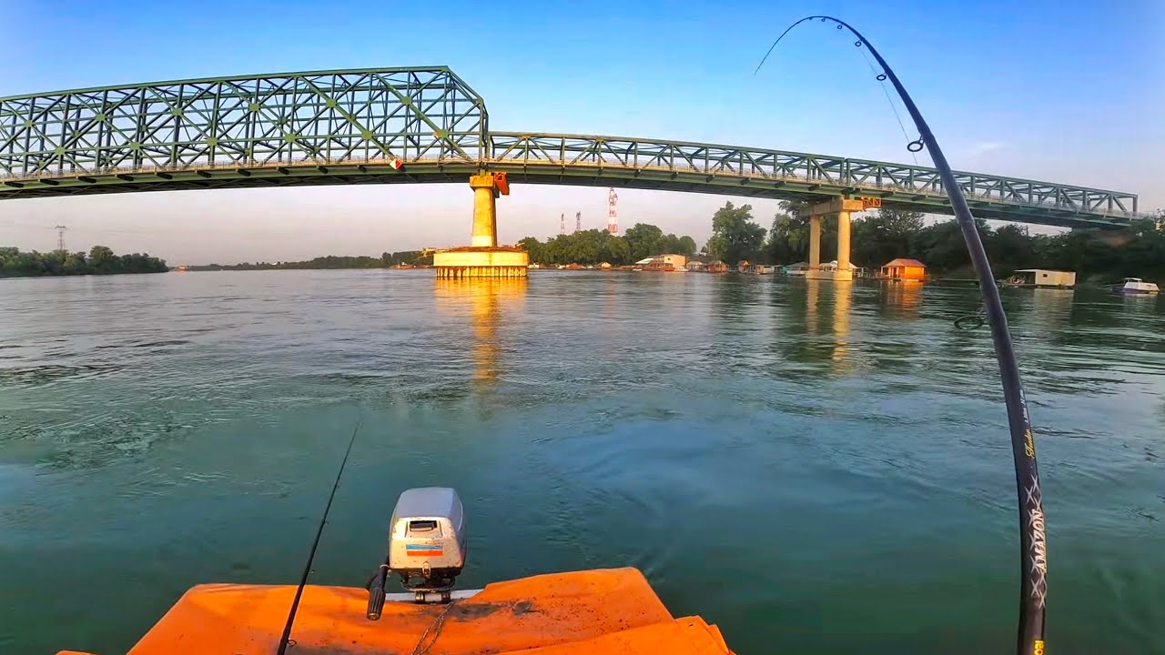 Feeder na Savi - Mrene I Pastrmka 4K