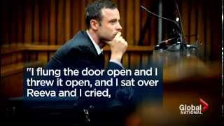 More testimony from Oscar Pistorius