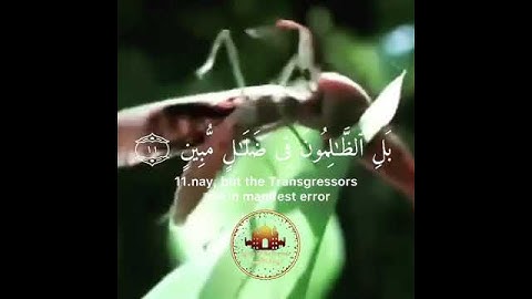 هَٰذَا خَلْقُ ٱللَّهِ فَأَرُونِى مَاذَا خَلَقَ ٱلَّذِينَ مِن دُونِهِۦ ۚ. القارئ إسلام صبحي