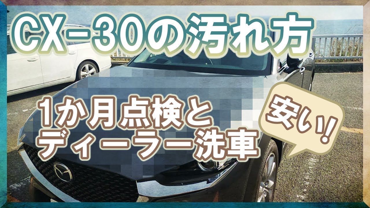Mazda Cx 30 1か月点検とディーラー洗車紹介 マシーングレープレミアムメタリックが汚れるとどうなる Youtube