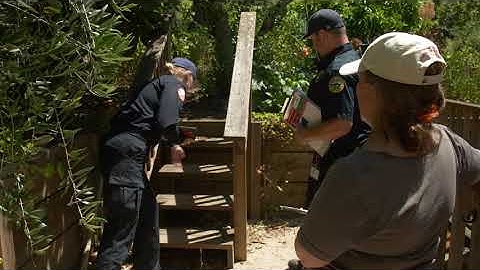 This Evaluation Can Save Your Life...