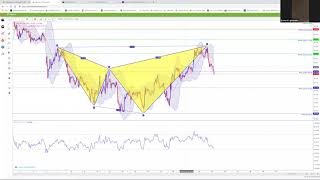 5 15 19  Harmonic Scanner Training