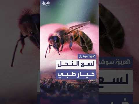 علاج لسعات النحل: مخاطر وحذر طبي
