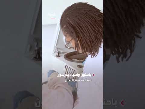 علاج لسعات النحل: مخاطر وحذر طبي