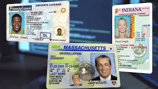 Experts warn that thieves are targeting your driver's license for personal information