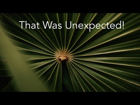That Was Unexpected!