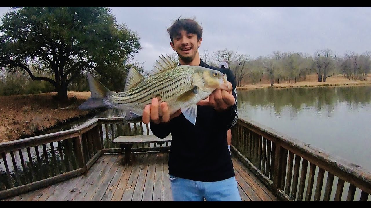 COLLEGE STATION RANCH FISHING - YouTube
