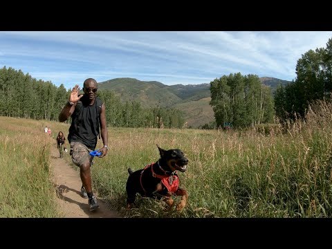 Life After Joint Replacement - Hike with Dr. Kim 2019