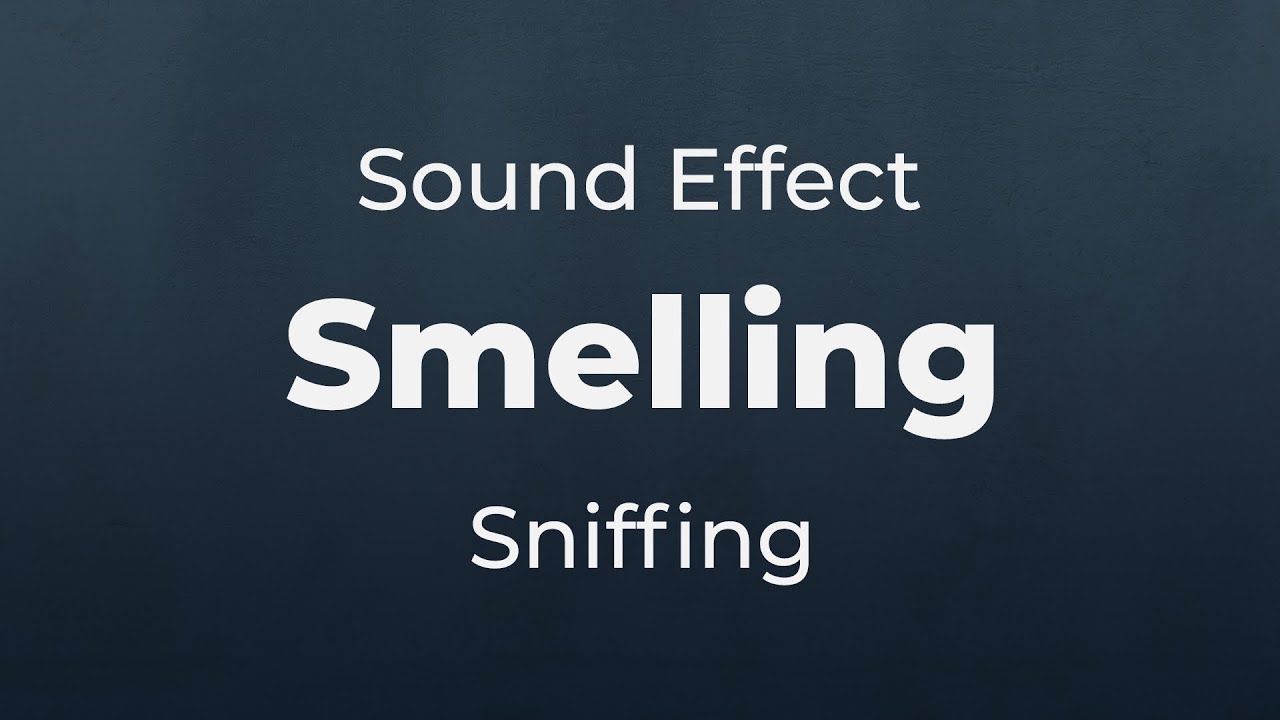 Smelling Sound Effect | SFX Free for Non-Profit Projects - YouTube