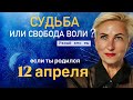 Матрица судьбы. Изобилие или потери?! судьба или свобода воли?!