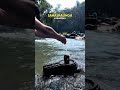 Sahasralinga: Land of a Thousand Shivlings 🌊🔱