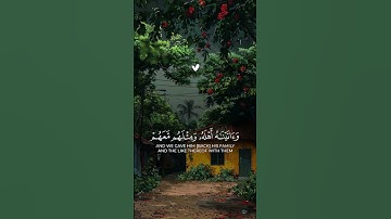 أشعر بالراحة عندما أسمع الصوت الأوضح والأجمل لتلاوة القرآن الكريم | ❤️🩹🤲❤️ #mashallah_ماشاءالله