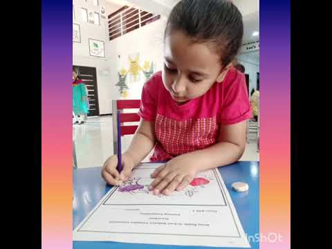 Coloring Competition | APSDCI | Army Public School | Defense Complex | Islamabad