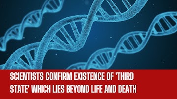 Scientists Discover New 