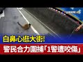 白鼻心逛大街！ 警民合力圍捕「1警遭咬傷」