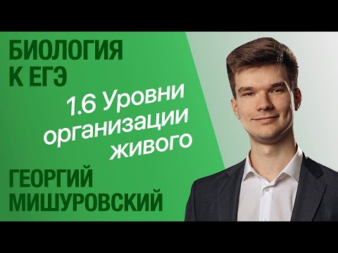 1.6. Уровни организации живых организмов | Общая биология к ЕГЭ | Георгий Мишуровский