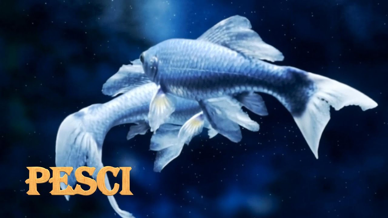 PREVISIONE ANNUALE  PESCI 2026