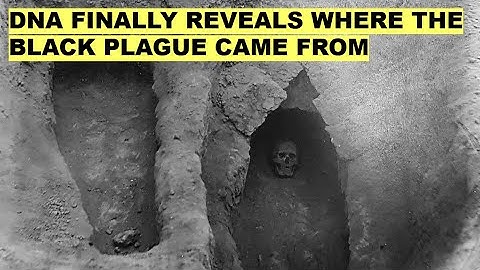 Ancient DNA Finally Reveals the REAL Origin of the Black Death