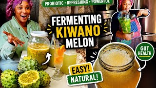  Can Kiwano Melon Support Gut Health? |Fermented Africa's Spiky Fruit!