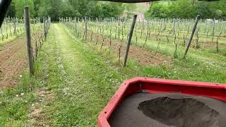 Grape vine fertilizer blood meal band spreader
