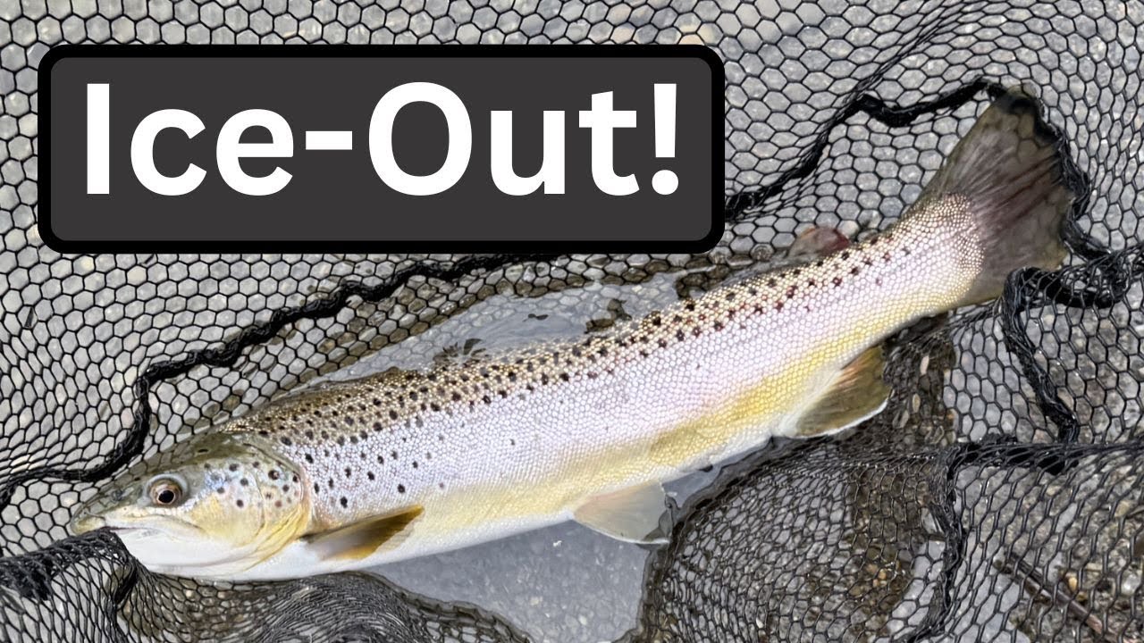 Ice-Out Brown-Trout! (Quaker Lake)